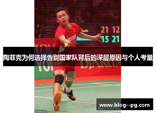 陶菲克为何选择告别国家队背后的深层原因与个人考量